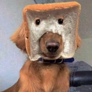 男人至死是少年