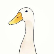 GOOSE