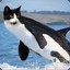 Doctor Whale