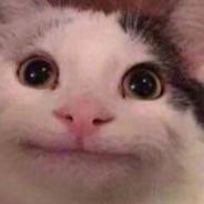 nicklastt - steam id 76561199195347088