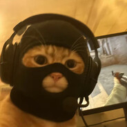 🐱:—Ħäħǎ û ďǏë