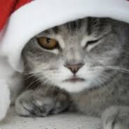 ♥︎𝓚𝓮𝓝𝓽𝓞𝓚