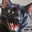 fredrickthecat3
