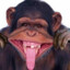 monke nipple