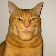 𝚉𝚒𝚣𝚞 - steam id 76561199232831230