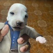 давай нападай