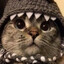 IM OZI
