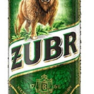 żubr
