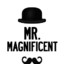 Mr.Magnificent