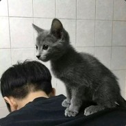 Big Avatar