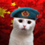 Marxist Kitty