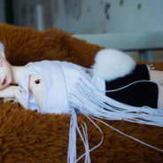 糯米是天下第一可爱小猫猫啵啵啵啵啵