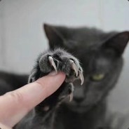 一杯蓝山不加糖