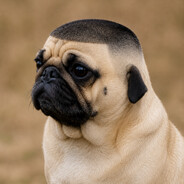 CaяlOsFaяia's avatar