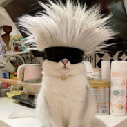 Invincible Iron-fist Sun Yat-sen