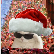 Christmas cat