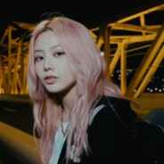 走召木奉而鸟苗鸟