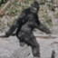 Senpati