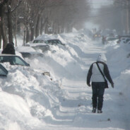 Louis IX dit "Saint-Louis"