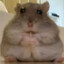 FAT_hamster
