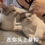 躲在钢琴里的猫