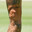 Joelho do Neymar
