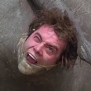 AceVentura'83 avatar