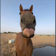 躺平专家曾小贤