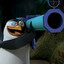 MadagaskarskiRico