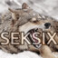 KS | seksix
