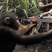 Monkey with an ak Steam avatar