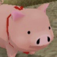 pigdog