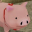 pigdog