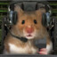 hamstersonPcP