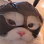 Aari