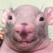 𝕶 𝖗 𝖔 𝖓 𝖔 𝖘