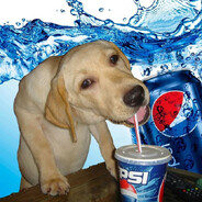 pepsi dog