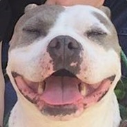 Xuvious - steam id 76561197967492338