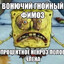 адмирал собак