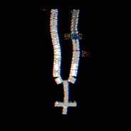 @ba_dimi_ on Instagram