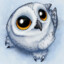 Owly