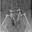 Saltshacker
