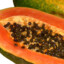 The Notorious Papaya