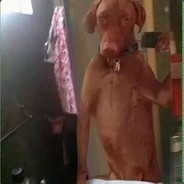 MWmwmwmwmwmwmwmwmwmwmw