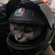 ik恋上你的温柔