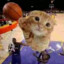 CAT BALLIN