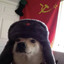 comunist dogONFIRE