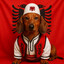 Albanian Dachshund