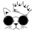 Dr.Cat