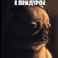 даун